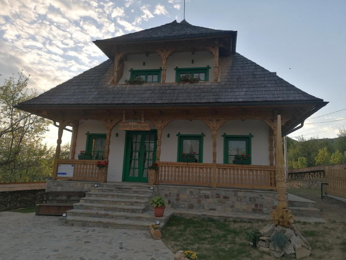 Pensiunea Casuta Din Deal Moisei Luaran gambar